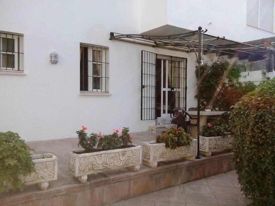 Apartamento Echando Anclas Barbate Zewnętrze zdjęcie